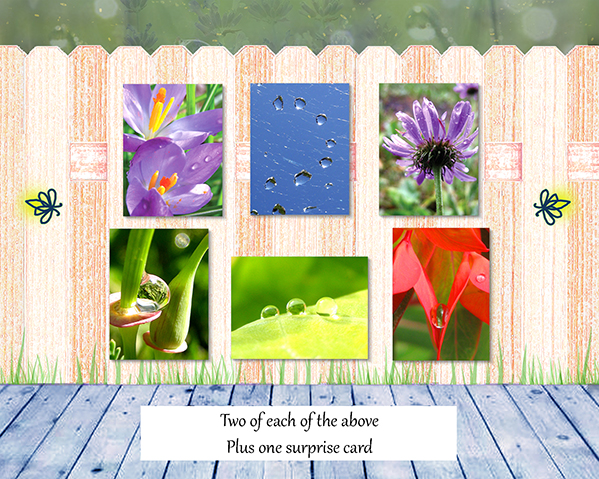 Poetry of Nature Greeting Card Collection - Spring Flowers